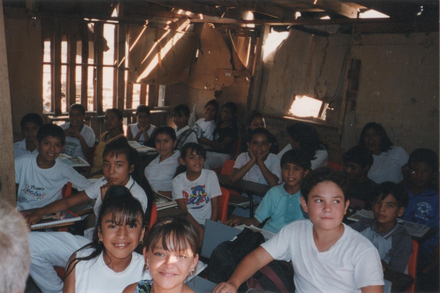 wolf in-winter-jonatan-pie